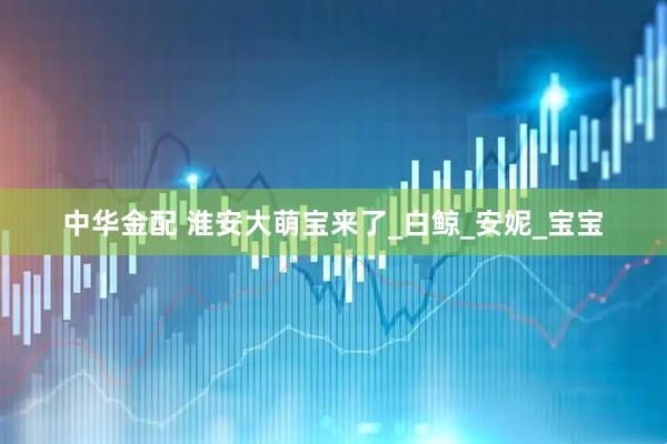 中华金配 淮安大萌宝来了_白鲸_安妮_宝宝