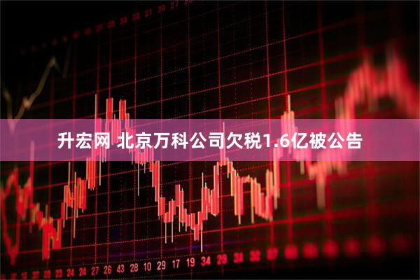升宏网 北京万科公司欠税1.6亿被公告